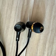 バイノーラルマイクイヤホンとPCMレコーダー ASMR入門セットの画像