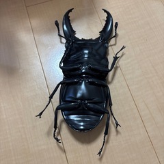 クワガタ　おもちゃの画像