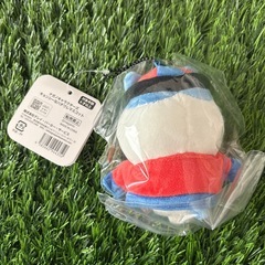 【定価譲渡】キョンシーなハチワレマスコットの画像