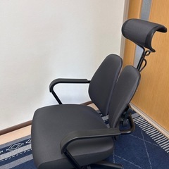 DUOREST オフィスチェアの画像