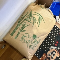 R7年　きぬむすめ　玄米　30kg