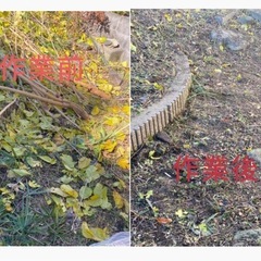 ★見積無料★　ご不用品回収、家電買取致します！！　お気軽にご連絡ください。の画像