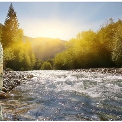 シリカ水　の画像