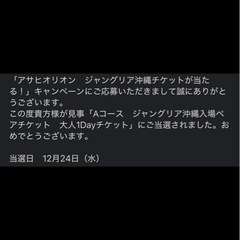 オリオン ジャングリア沖縄 大人1Dayチケット 2枚セットの画像