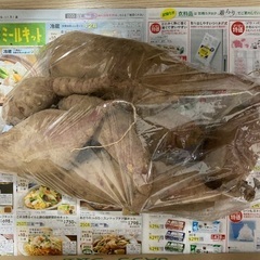 無農薬さつまいも掘り体験　1000円の画像