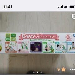 プーメリーの画像