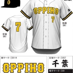 草野球12/19 体験練習会開催