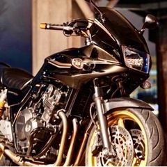 cb400sb nc42 前期 Special edition 限定200台デザインカラー特別車　　の画像