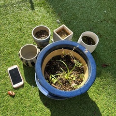 ※取引決定　プランターの画像