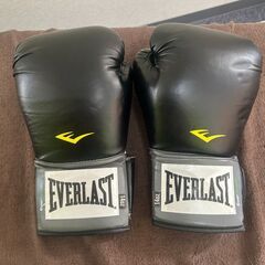 EVERLAST グローブ キックミットセット 14oz H_086の画像