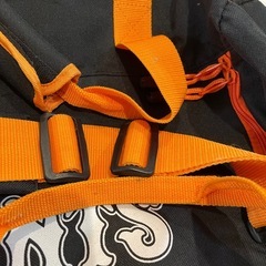 激レア♡ジャイアンツ♡ボストンバックの画像