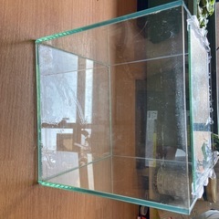 30センチキューブ水槽の画像
