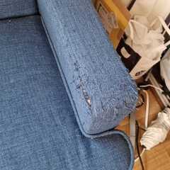 青いソファ　無料であげますの画像