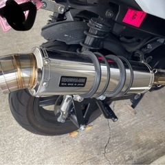 美車　シグナスX　SRファイナルエディションの画像