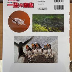 一生の図鑑　学研の図鑑の画像