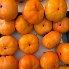 柿 無農薬 (富有柿)約2.5kg (17)の画像