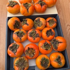 柿 無農薬 (富有柿)約2.5kg (17)の画像