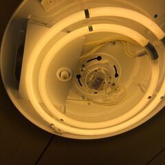 シーリングライトの画像