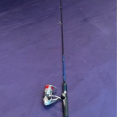 アジングセット　アピアの画像