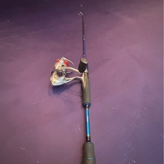 アジングセット　アピアの画像