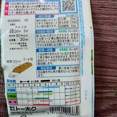 スナックえんどうの種　25粒の画像