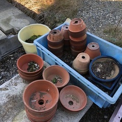 植木鉢の画像