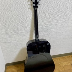 Lumber LDG10NA アコースティックギターの画像