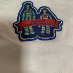 Tシャツの画像