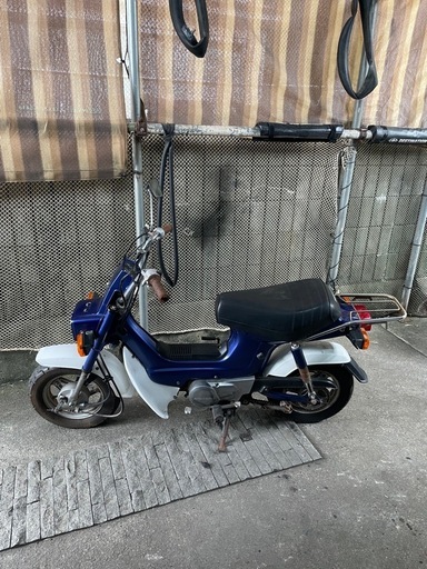 角目シャリー12V