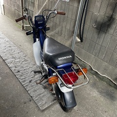 角目シャリー12Vの画像