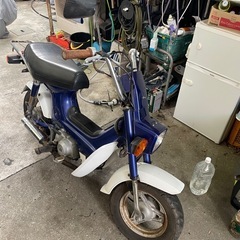 角目シャリー12Vの画像