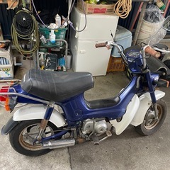 角目シャリー12Vの画像