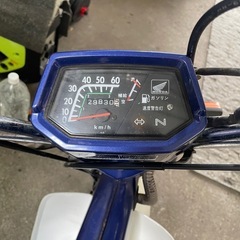 角目シャリー12Vの画像