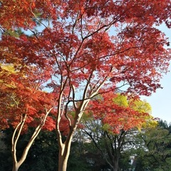 お出かけしましょう