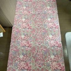 3折マット厚さ4cm2枚の画像