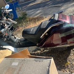 ヒュージョン ジャンクの画像