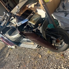 ヒュージョン ジャンクの画像