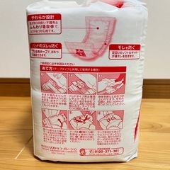 大人用紙おむつ　パッドタイプ　男女兼用　レギュラーサイズの画像