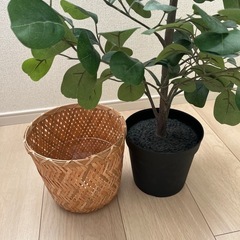 フェイク 観葉植物 鉢植え付きの画像