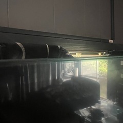 Google TV 5型の画像