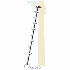 枝打ち梯子　長谷川の画像