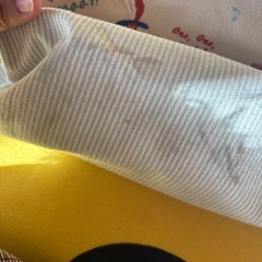 ダッフィーフレンズトートバッグの画像