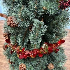 クリスマスツリーの画像