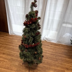 クリスマスツリーの画像