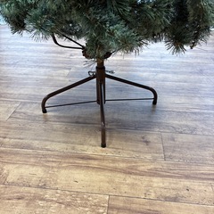 クリスマスツリーの画像