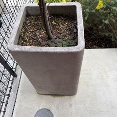 大型植木鉢　の画像