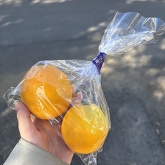  【レモン約2個】本庄産　野菜　無農薬　販売　まとめ売り　セット　　の画像