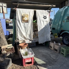  【レモン約2個】本庄産　野菜　無農薬　販売　まとめ売り　セット　　の画像