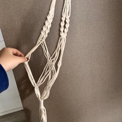 プラントハンガー大の画像