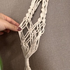 プラントハンガー小②の画像